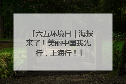 六五环境日|海报来了!美丽中国我先行,上海行!