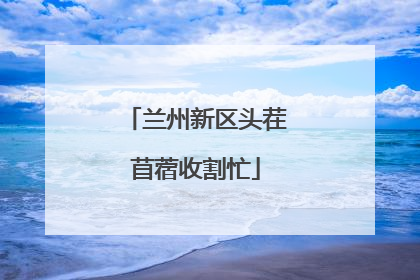 兰州新区头茬苜蓿收割忙