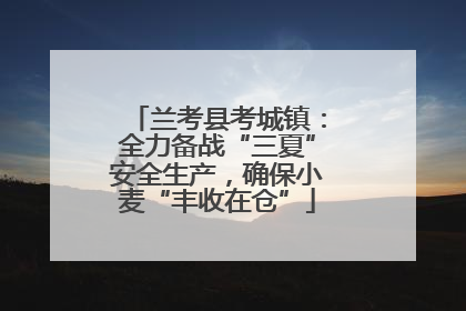 兰考县考城镇：全力备战“三夏”安全生产，确保小麦“丰收在仓”
