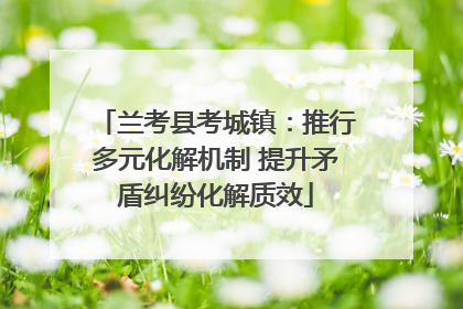 兰考县考城镇：推行多元化解机制 提升矛盾纠纷化解质效