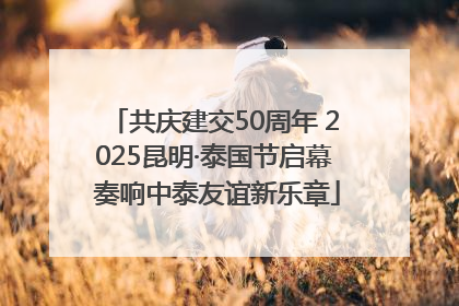 共庆建交50周年 2025昆明·泰国节启幕 奏响中泰友谊新乐章