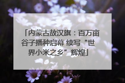 内蒙古敖汉旗：百万亩谷子播种启幕 续写“世界小米之乡”辉煌