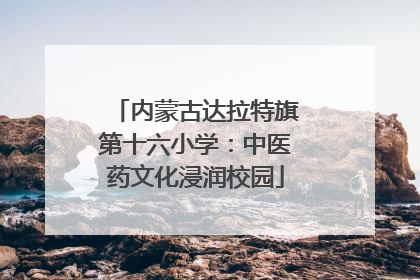 内蒙古达拉特旗第十六小学：中医药文化浸润校园