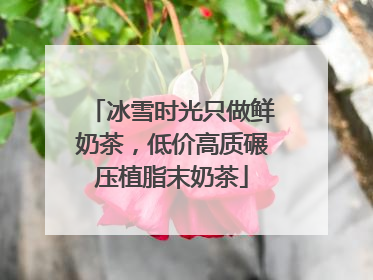 冰雪时光只做鲜奶茶，低价高质碾压植脂末奶茶