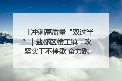 冲刺高质量“双过半”｜盐都区楼王镇：攻坚实干不停歇 奋力跑赢“上半场”