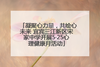 凝聚心力量，共绘心未来 宜宾三江新区宋家中学开展5·25心理健康月活动