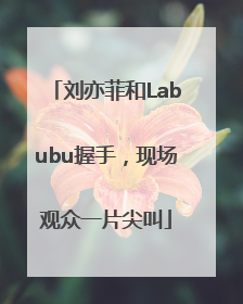 刘亦菲和Labubu握手，现场观众一片尖叫