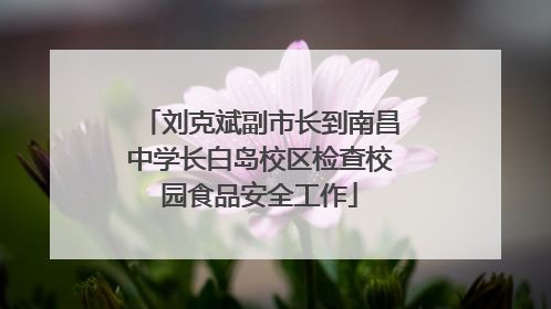 刘克斌副市长到南昌中学长白岛校区检查校园食品安全工作