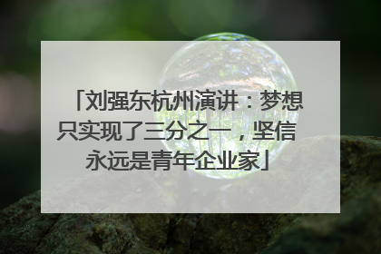 刘强东杭州演讲：梦想只实现了三分之一，坚信永远是青年企业家