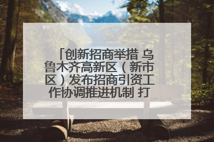 创新招商举措 乌鲁木齐高新区（新市区）发布招商引资工作协调推进机制 打造投资发展新高地