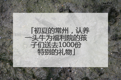 初夏的常州，认养一头牛为福利院的孩子们送去1000份特别的礼物