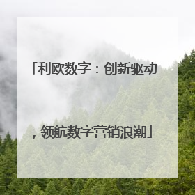 利欧数字：创新驱动，领航数字营销浪潮