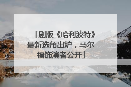 剧版《哈利波特》最新选角出炉，马尔福饰演者公开