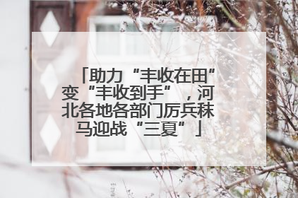 助力“丰收在田”变“丰收到手”，河北各地各部门厉兵秣马迎战“三夏”