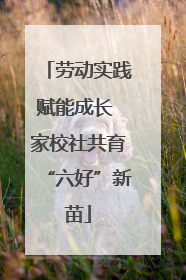 劳动实践赋能成长 家校社共育“六好”新苗