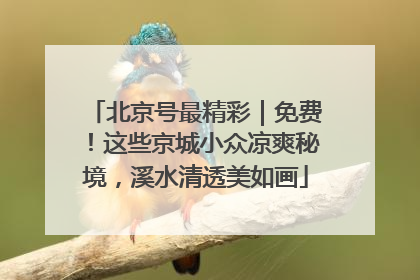 北京号最精彩｜免费！这些京城小众凉爽秘境，溪水清透美如画