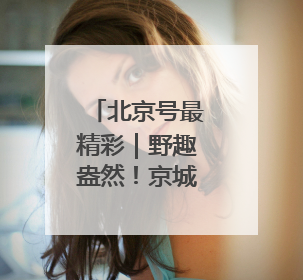北京号最精彩｜野趣盎然！京城这个生态桥连通两大网红公园
