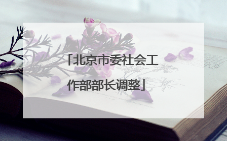北京市委社会工作部部长调整