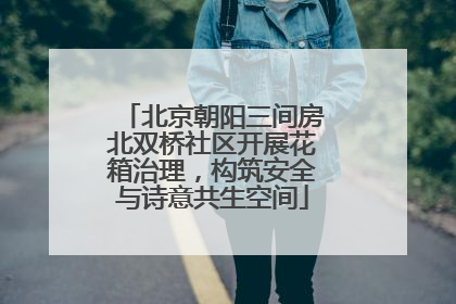 北京朝阳三间房北双桥社区开展花箱治理，构筑安全与诗意共生空间