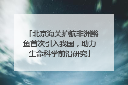 北京海关护航非洲鳉鱼首次引入我国，助力生命科学前沿研究