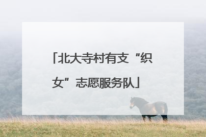 北大寺村有支“织女”志愿服务队