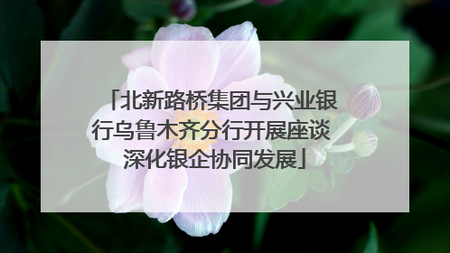 北新路桥集团与兴业银行乌鲁木齐分行开展座谈 深化银企协同发展