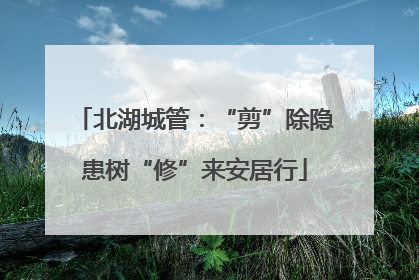 北湖城管：“剪”除隐患树“修”来安居行