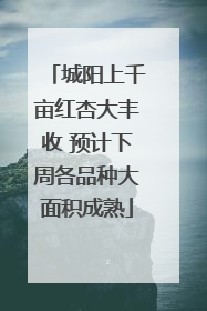 城阳上千亩红杏大丰收 预计下周各品种大面积成熟