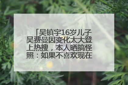 吴镇宇16岁儿子吴费曼因变化太大登上热搜，本人晒搞怪照：如果不喜欢现在的我可以离开