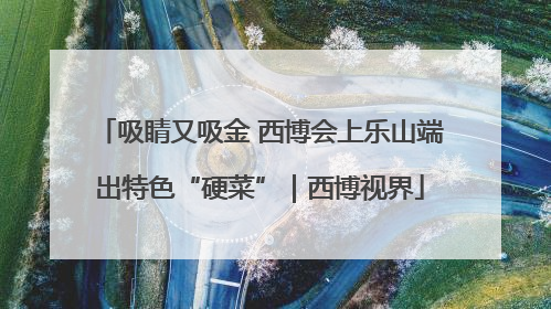 吸睛又吸金 西博会上乐山端出特色“硬菜”｜西博视界