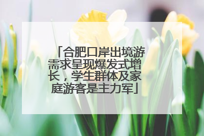 合肥口岸出境游需求呈现爆发式增长，学生群体及家庭游客是主力军