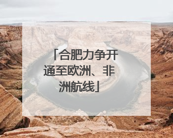 合肥力争开通至欧洲、非洲航线