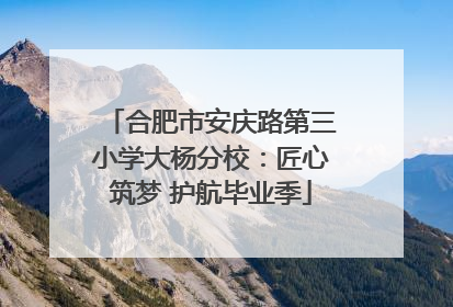 合肥市安庆路第三小学大杨分校：匠心筑梦 护航毕业季