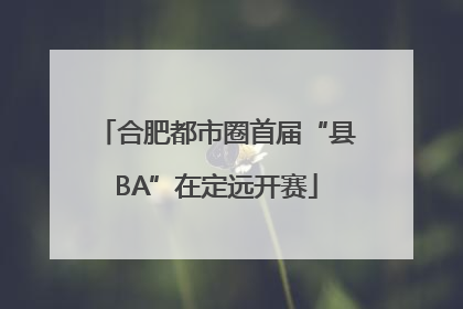 合肥都市圈首届“县BA”在定远开赛