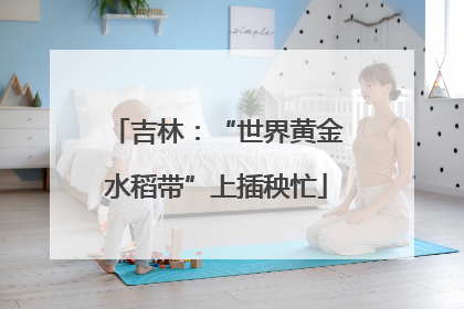 吉林：“世界黄金水稻带”上插秧忙