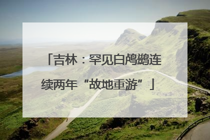 吉林：罕见白鸬鹚连续两年“故地重游”