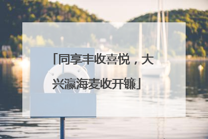 同享丰收喜悦，大兴瀛海麦收开镰