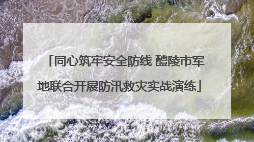 同心筑牢安全防线 醴陵市军地联合开展防汛救灾实战演练