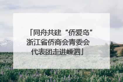 同舟共建“侨爱岛” 浙江省侨商会青委会代表团走进嵊泗