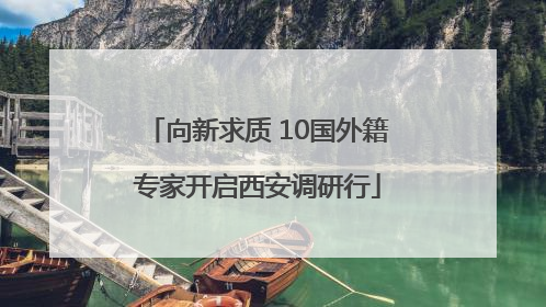 向新求质 10国外籍专家开启西安调研行