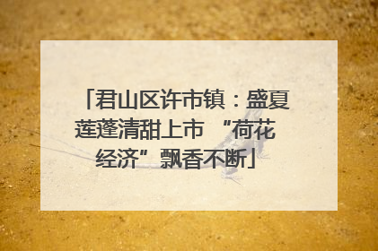 君山区许市镇：盛夏莲蓬清甜上市 “荷花经济”飘香不断