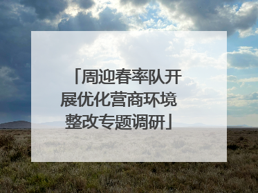 周迎春率队开展优化营商环境整改专题调研