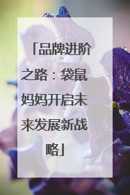 品牌进阶之路：袋鼠妈妈开启未来发展新战略