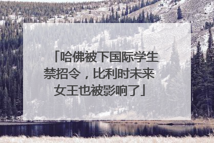 哈佛被下国际学生禁招令，比利时未来女王也被影响了