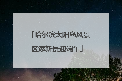 哈尔滨太阳岛风景区添新景迎端午