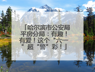 哈尔滨市公安局平房分局：有趣！有爱！这个“六一”超“警”彩！
