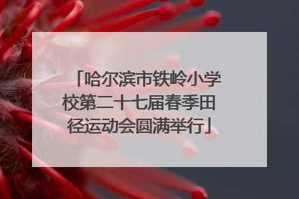 哈尔滨市铁岭小学校第二十七届春季田径运动会圆满举行