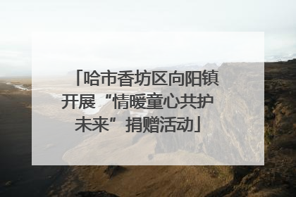 哈市香坊区向阳镇开展“情暖童心共护未来”捐赠活动