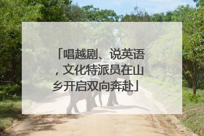 唱越剧、说英语，文化特派员在山乡开启双向奔赴