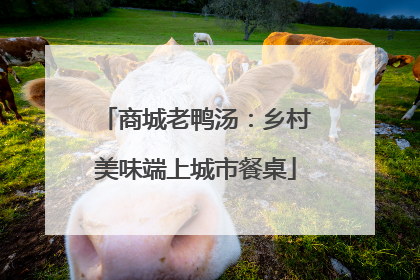 商城老鸭汤：乡村美味端上城市餐桌